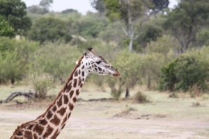 Exotická Tanzanie