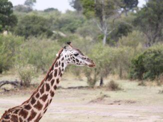 Exotická Tanzanie