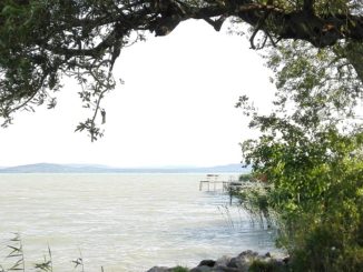 Balaton