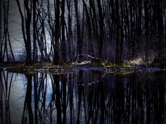 Česká příroda jako oáza klidu. Kde nám bude dopřán odpočinek?