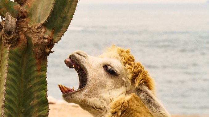 nejvetsi-zajimavosti-o-peru Největší zajímavosti o Peru. Nechte se oslnit